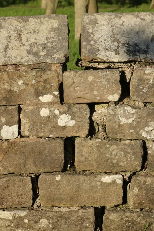 Stone Wall Repair in Harwinton, CT